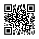 1690202 QRCode