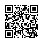 17-5TDMEJ25 QRCode