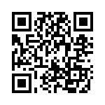 1703399 QRCode