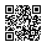 170393K160AA QRCode