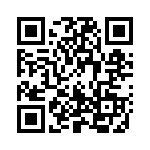 170E3917 QRCode