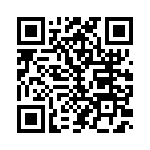 170E3933 QRCode