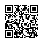 1713004 QRCode