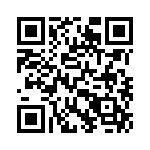 17130952201 QRCode