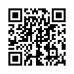 17130952205 QRCode