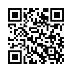 17130952402 QRCode