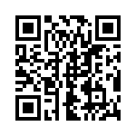 171333K250C-F QRCode