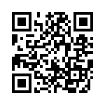 171334K160G-F QRCode