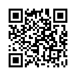 171366-2 QRCode