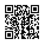 1713951807 QRCode