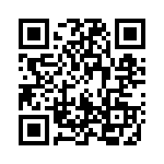 171707-1 QRCode