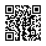 1717379-4 QRCode