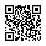 17211104102 QRCode