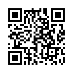 17221251101 QRCode