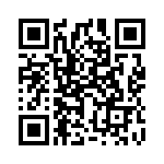 1728206 QRCode