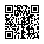 1731090199 QRCode