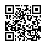 17410721204 QRCode