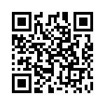 1761845-4 QRCode