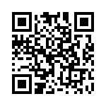 17880-4PG-300 QRCode