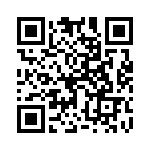 17882-4SG-300 QRCode