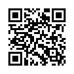 18121C393KAT2A QRCode