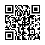 18125C484KAT2A QRCode