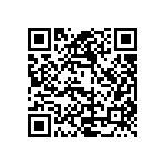 189-025-613R571 QRCode