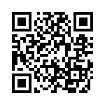 19155031701 QRCode