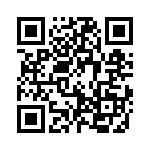 19300102295 QRCode