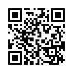 19300160666 QRCode