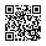 19300241266 QRCode