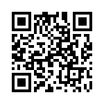 19400161273 QRCode