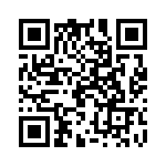 19411240273 QRCode