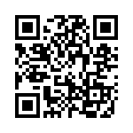 19501331 QRCode