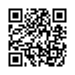 19628161271 QRCode