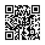 1N5333BG QRCode