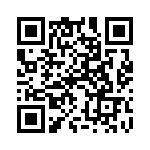 1N5381B_1B3 QRCode