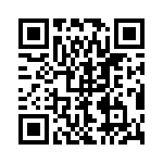 1PMT4106-TR13 QRCode