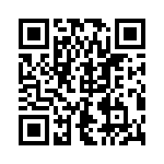 2-1734857-1 QRCode