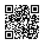 2-2013022-3 QRCode