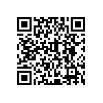 2-5DMB100M20X55 QRCode