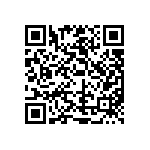 20020013-H101B01LF QRCode