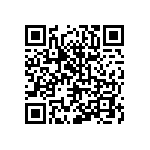 20021311-00038T1LF QRCode