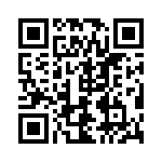 20100630021P QRCode