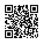 20100800531P QRCode