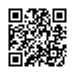 2010211010 QRCode