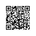 2220Y0250333JFR QRCode