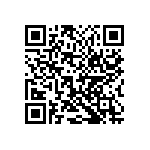 2220Y1000273KFT QRCode