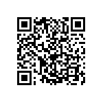 2225J0250122KFR QRCode