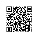 2225J2500223FFT QRCode